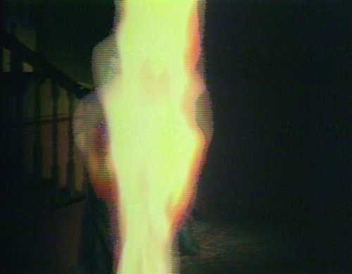 451 dark shadows flames bathia 5