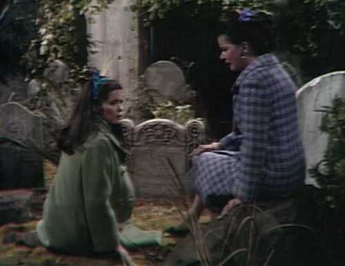 463 dark shadows picnic vicki liz