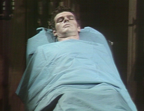 488 dark shadows adam