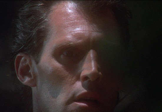 1991 dark shadows barnabas wait