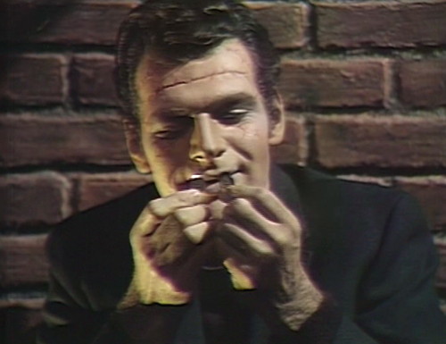 494 dark shadows adam buttons