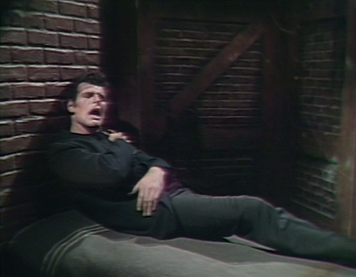 495 dark shadows adam week