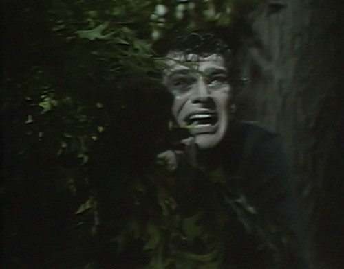 501 dark shadows adam name