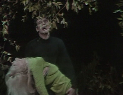 502 dark shadows adam carolyn hoist