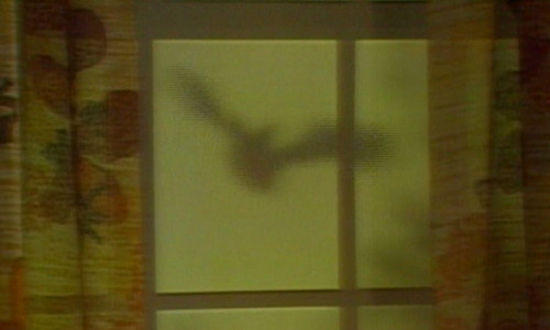 504 dark shadows barnabas bat