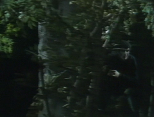 505 dark shadows adam accomplice