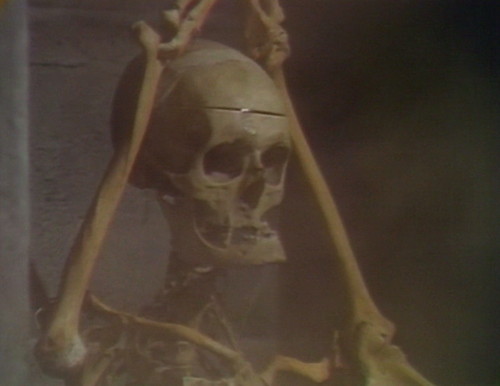 511 dark shadows trask skull