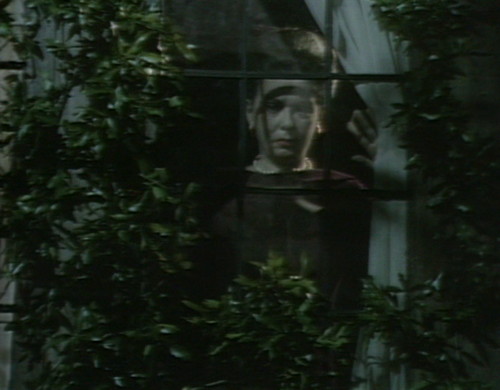513 dark shadows liz window