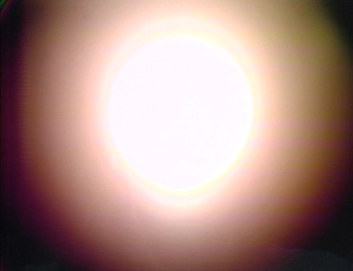 531 dark shadows vicki everything