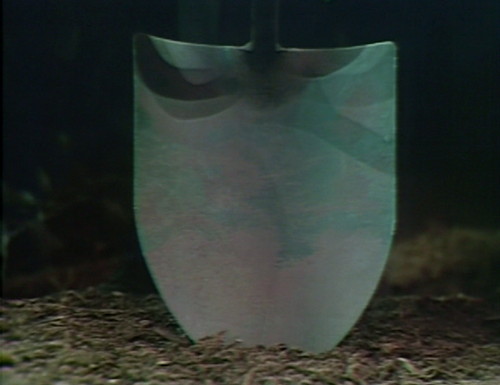 537 dark shadows dig