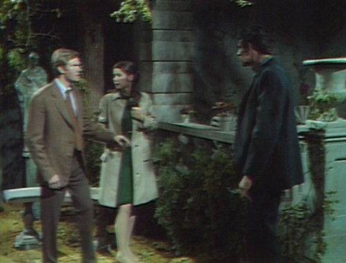 567 dark shadows jeff stupid