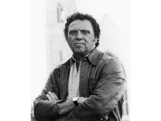 601 dark shadows dan curtis