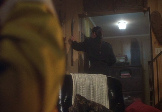 1991 dark shadows julia grabs