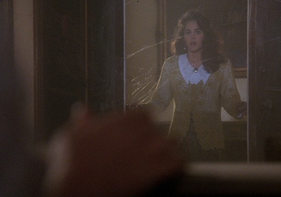 1991 dark shadows vicki enter