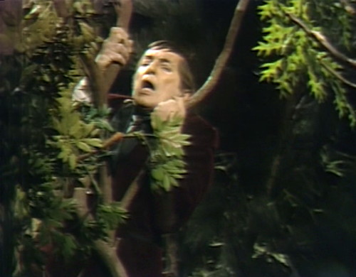 618 dark shadows barnabas tree