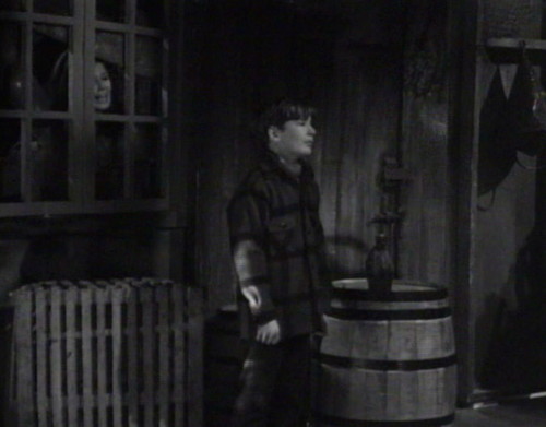 631 dark shadows vicki david career