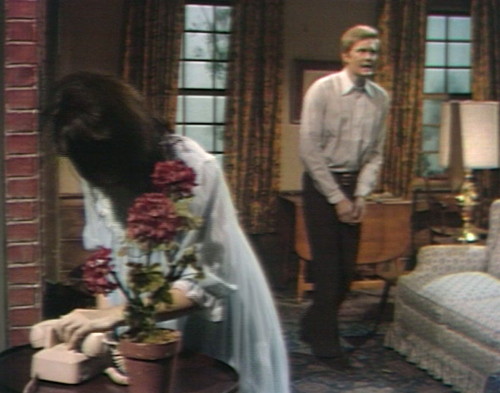 637 dark shadows vicki jeff questions