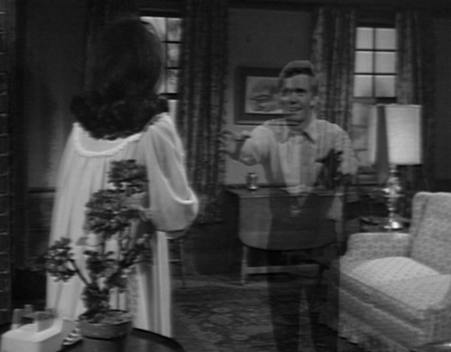 650 vicki pj disappear