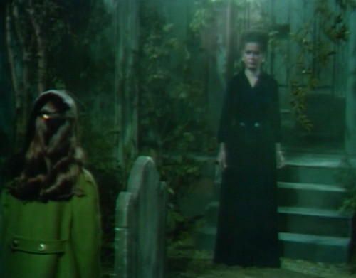 651 dark shadows amy liz tomb