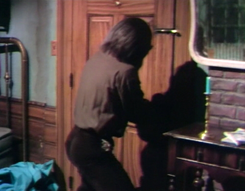 652 dark shadows werewolf door