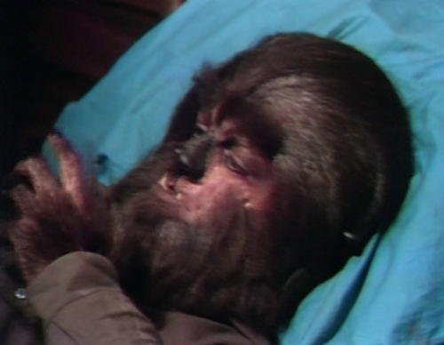 652 dark shadows werewolf wakes 4