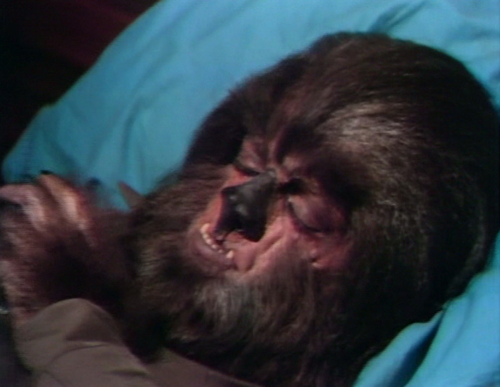 652 dark shadows werewolf wakes