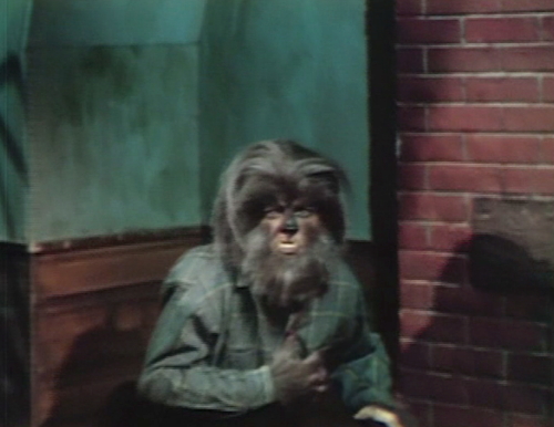 654 dark shadows werewolf shot 3