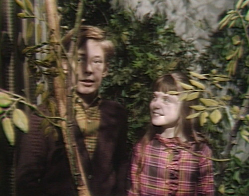656 dark shadows david amy pleased
