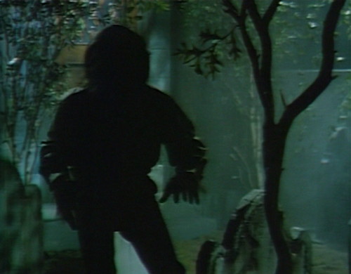 671 dark shadows werewolf silhouette