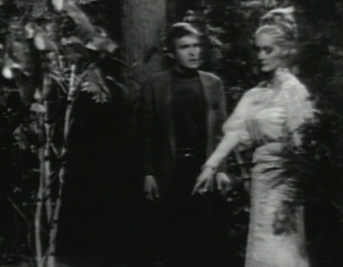 684 dark shadows chris beth woods