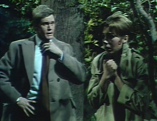 688 dark shadows ned maggie woods