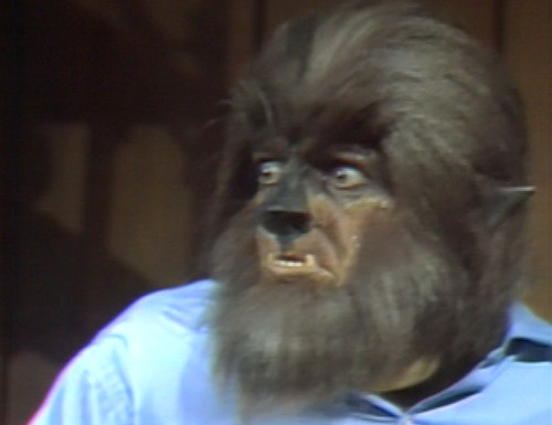 698 dark shadows werewolf