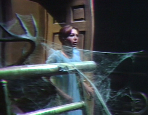699 dark shadows maggie doors