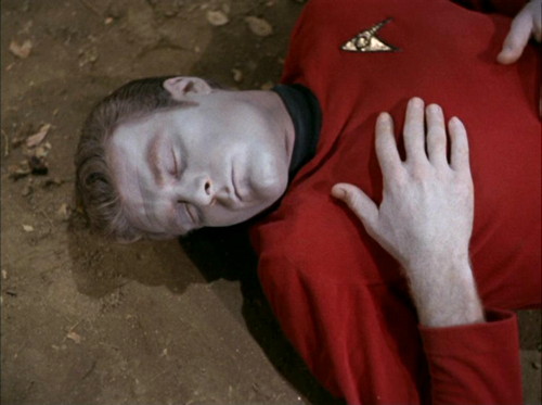 751 star trek redshirt