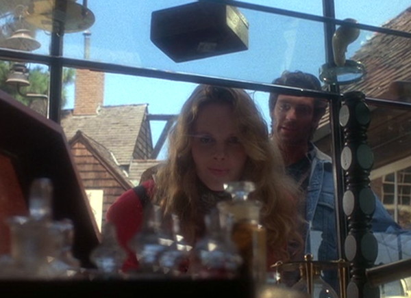 1991 dark shadows carolyn joe window