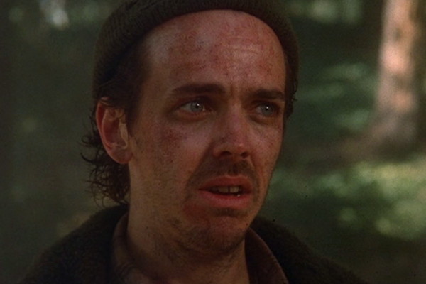 1991 dark shadows willie fine