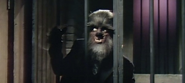 787 dark shadows werewolf jail