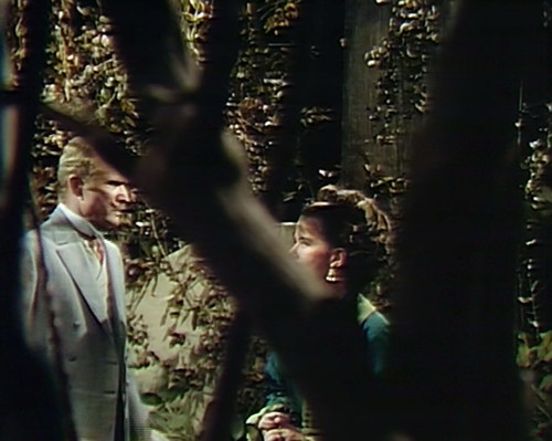 788 dark shadows edward judith tree