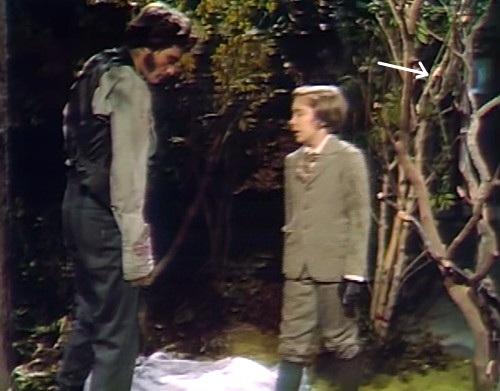 809 dark shadows quentin jamison monitor