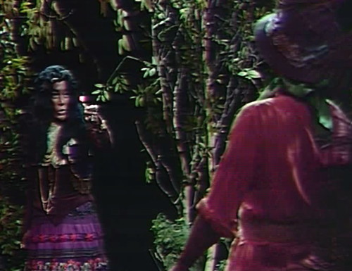 826 dark shadows magda sergio match