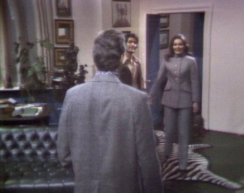 834 dead of night zebra