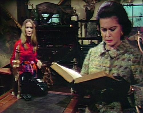 904 dark shadows carolyn liz book