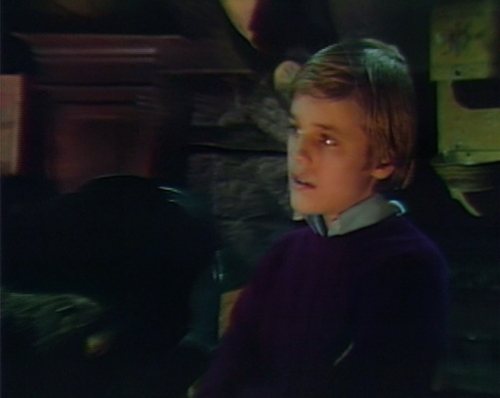 913 dark shadows michael arms