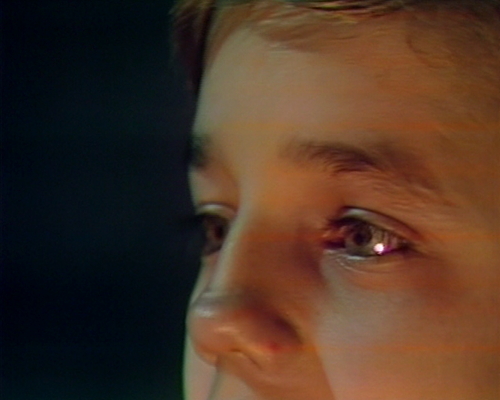 913 dark shadows michael eyes