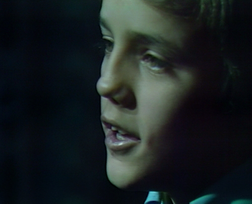 913 dark shadows michael stay