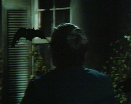 915 dark shadows barnabas bat