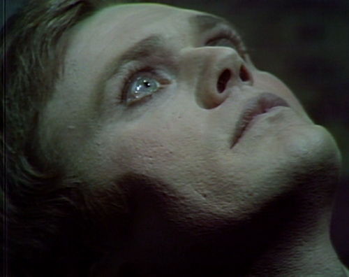 919 dark shadows tate head