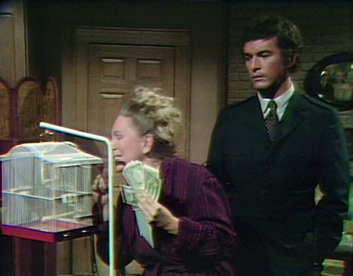 928-dark-shadows-hutchins-philip-parakeet