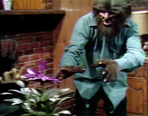 944-dark-shadows-werewolf-moon-poppy