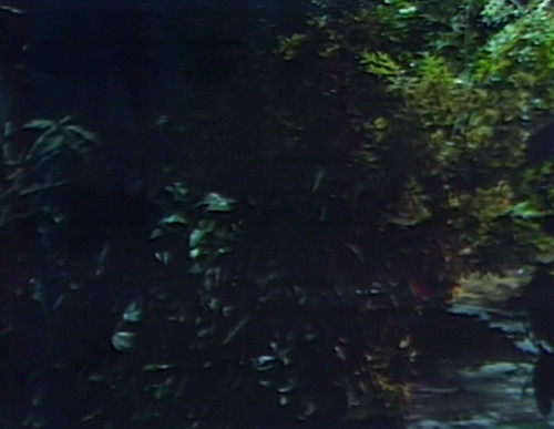 945-dark-shadows-alt-space